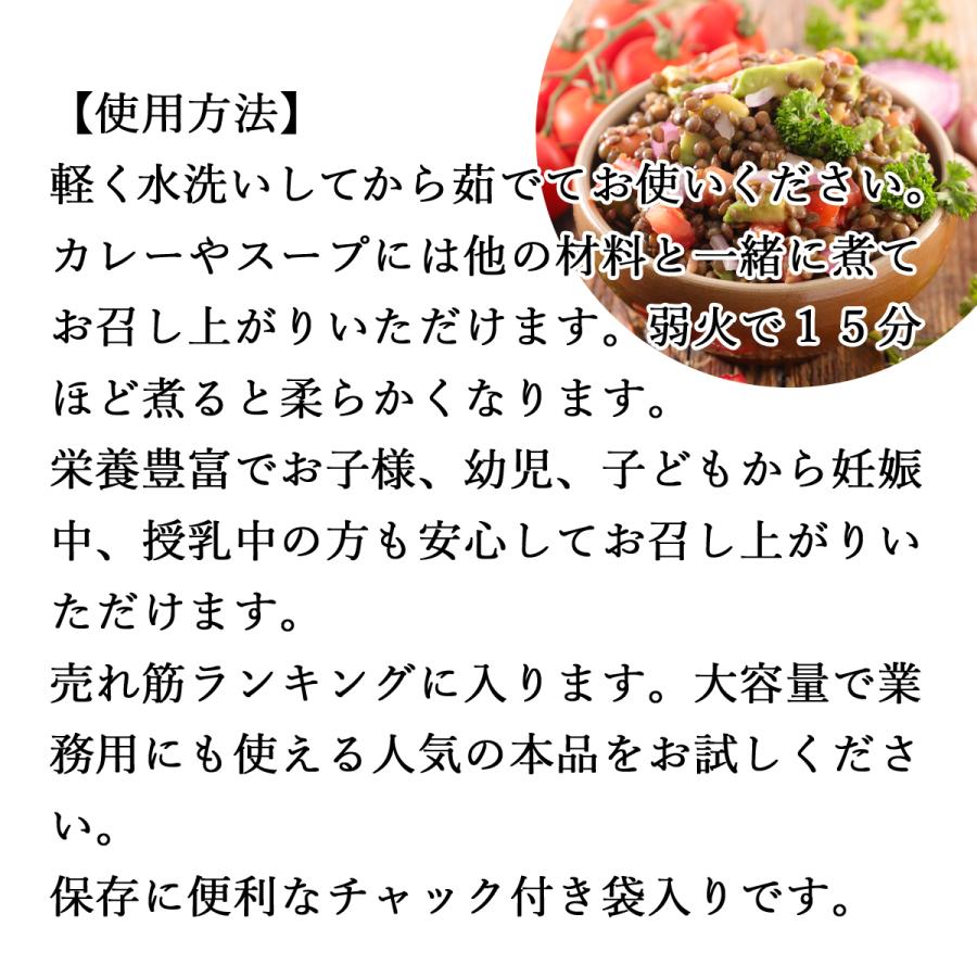 レンズ豆 1kg 乾燥 ひら豆 ヒラマメ ヒラ豆 ブラウン アメリカ産