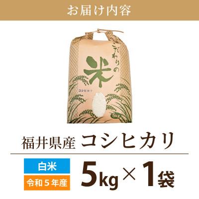 ふるさと納税 越前町 令和5年産　コシヒカリ(精米)　5kg