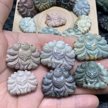 真料阿拉善九尾狐系列 阿拉善狐狸 精品料