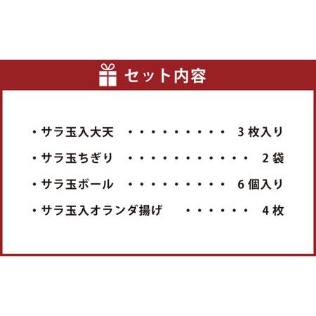 ふるさと納税 サラたま天平（ 天ぷら ）セット 練り物 かまぼこ おやつ 熊本県水俣市