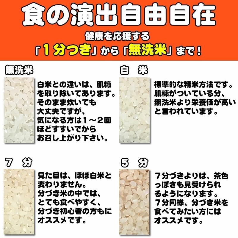 新米 ポイント消化 お米 送料無料 お試しあきたこまち 750g (5合) 令和5年産 山形県産 白米 無洗米 分づき 玄米 当日精米 真空パック メール便 700円 ゆうパケ