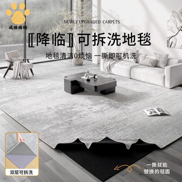 免運 地毯 客廳可機洗雙層可拆洗輕奢高級感沙發茶幾加厚 地墊子W12/9