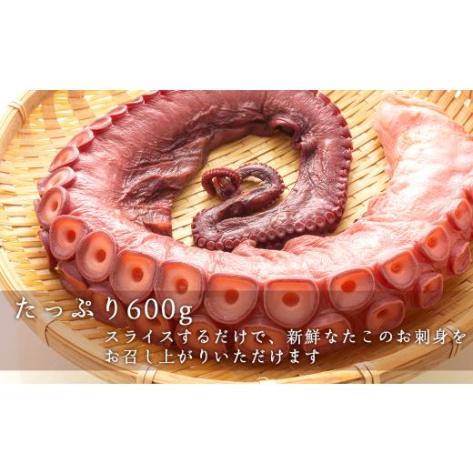 ふるさと納税 北海道 余市町 北海道産 やわらか煮たこ足（約600g）2本セット＜菊地水産＞