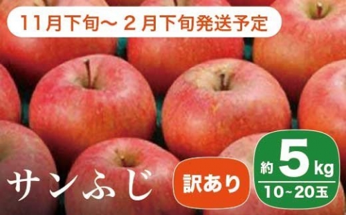  サンふじ 約5kg 10～20玉 ［小布施屋］ 2023年11月下旬～2024年2月下旬発送 りんご 林檎 リンゴ 不揃い 規格外 果物 フルーツ 生産者応援 支援 家庭用 ［A-12］