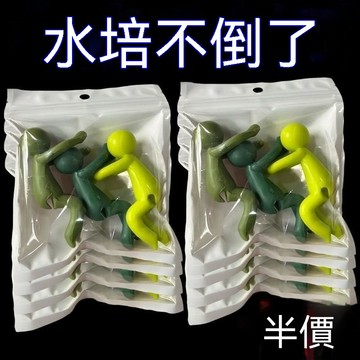 🔥臺灣出貨24H🔥水培植物伴侶扶正固定魚缸植物辦公裝飾理綫園藝神器水培固定擺件hhfo00