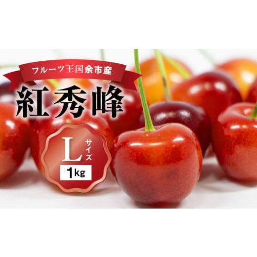 ふるさと納税 北海道 余市町 2024年発送令和6年産 フルーツ王国余市産 紅秀峰 Lサイズ 500g×2パック 1kg ニトリ観光果樹園 さくらんぼ フルーツ …