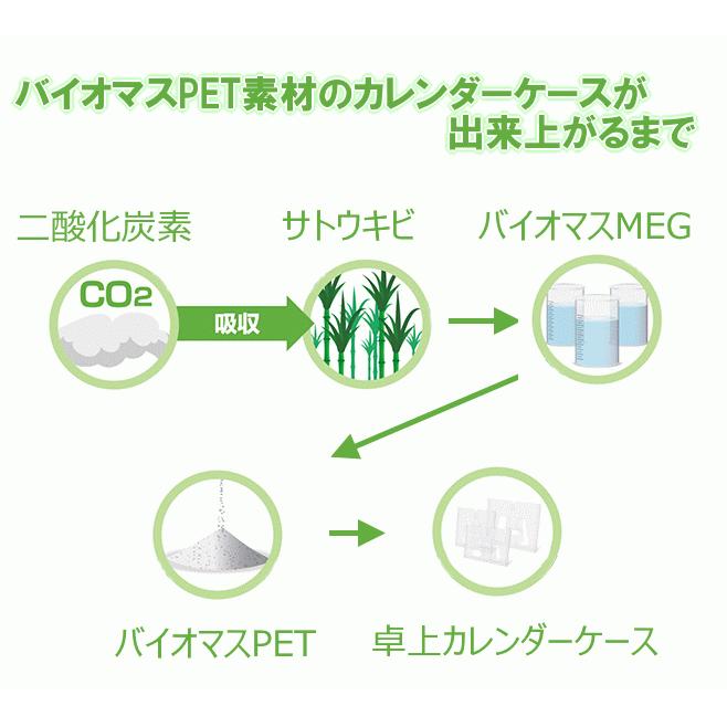 カレンダーケース(バイオマスPET)  ハガキサイズ  400個