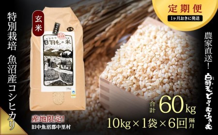 ≪令和5年産≫農家直送！魚沼産コシヒカリ特別栽培「白羽毛の米」玄米(10kg×1袋)×6回  60kg