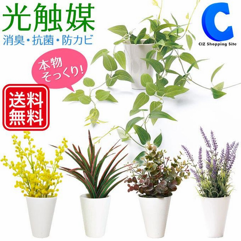 光触媒　人工観葉植物　ウォールグリーン　フェイクグリーン　グラスライン 光触媒 人工観葉植物 ウォールグリーン フェイクグリーン グラスライン