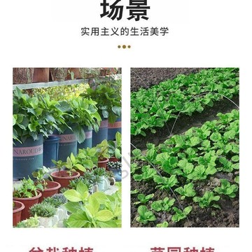 🔥slk嚴選🔥育苗帶刻度播種手動式針管筒式園藝苗穴盤蔬菜排種器扦插打孔器爆款