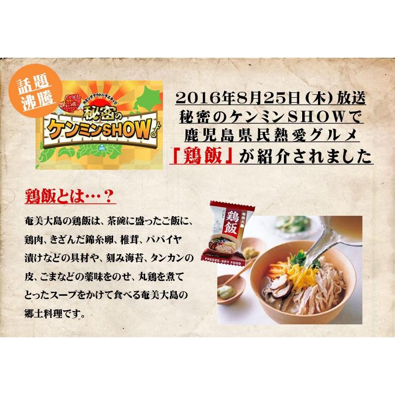 具だくさん 鶏飯 フリーズドライ 10個入り×10箱 鹿児島 奄美大島 郷土料理 けいはん 保存食 時短飯