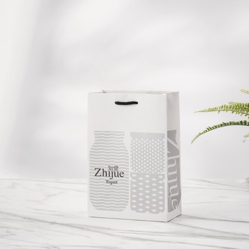 精緻手提紙袋 - 雙入袋