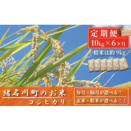 ふるさと納税 猪名川町のお米（コシヒカリ） ※精米※毎月配送 兵庫県猪名川町