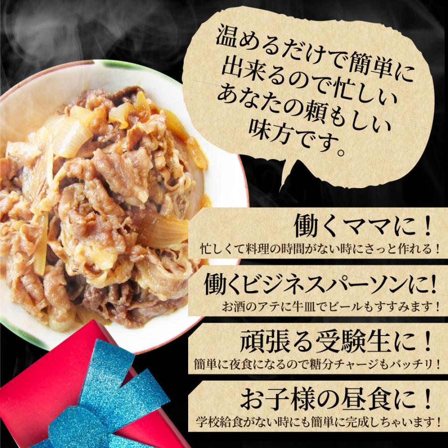 牛丼 牛丼の具 10個セット お肉屋さんのこだわり たっぷり牛肉の簡単牛丼 1食120g