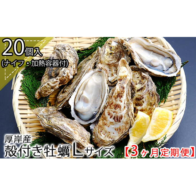 厚岸産 殻付き 牡蠣 Ｌサイズ 20個入 (各回20個×3ヶ月分,合計60個) カキナイフ付き 加熱容器付き