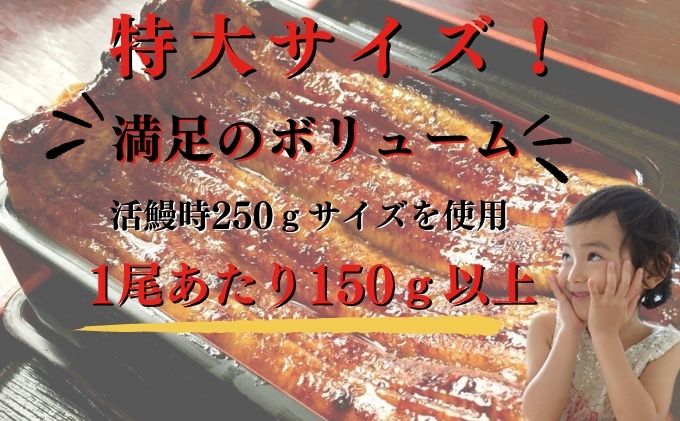 うなぎ 食べ比べセット 蒲焼き 白焼き 各1尾 国産 三河一色産