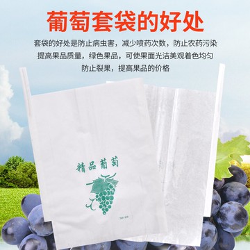 防蟲保護袋 葡萄套袋專用袋半透明袋子蓮霧保護防蟲雨防鳥包果袋紙袋透氣水果【MJ15793】