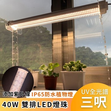 【君沛】UV紫外線 3呎 40W 防水植物燈 全光譜 三防燈 LED生長燈 多肉顯色 龍舌蘭 控養防徒長 植物架補光