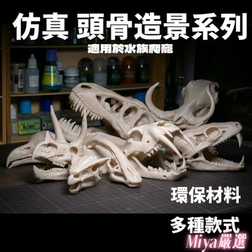 爬蟲缸造景裝飾 仿真頭骨 爬寵 魚缸水族 恐龍化石造型 劍齒虎 頭骨 骨頭 蜥蜴守宮躲藏 躲避模型 雕像 動物頭 寵物