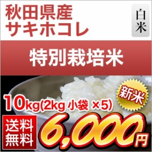 新米 令和5年(2023年)産 秋田県産 サキホコレ 白米10kg(2kg×5袋) 2年連続特A評価 