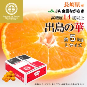 [予約 2023年 12月15日-12月25日の納品] 出島の華 みかん Lサイズ 約 5kg 長崎県 JAながさき 高糖度 長崎 高級 産地箱 冬ギフト お歳暮