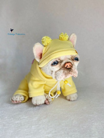 灰色法国斗牛犬逼真的玩具小狗