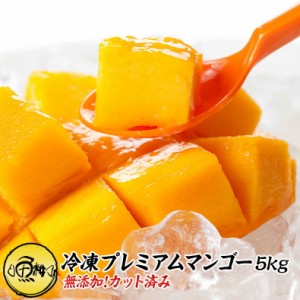 プレミアムマンゴー 無添加 冷凍 5kg 500g×10 カット済み