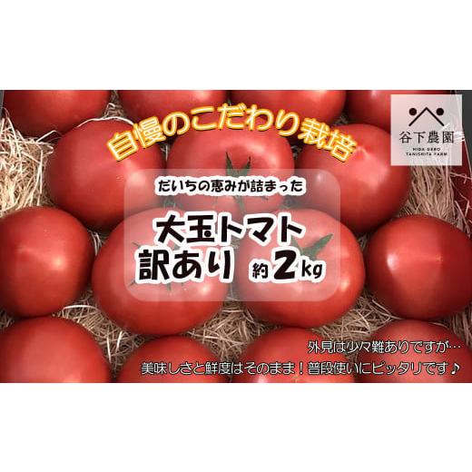 ふるさと納税 岐阜県 下呂市 訳アリ 約 2kg 大地の恵みがぎゅーっと詰まった果肉が厚い大玉トマト 麗月 レイゲツ れいげつ とまと 訳あ…