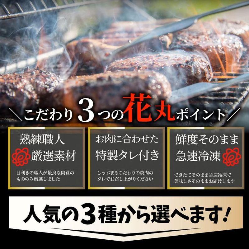 BBQにピッタリ・ステーキ＆焼肉 3種から選べる メガ盛り肉のバーベキュー福袋 (Aセット)