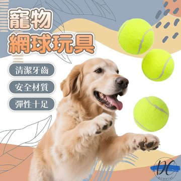 【DC寵物有發票】🐾寵物網球 狗狗玩具 訓練狗狗網球 寵物玩具  彈力球 解悶玩具球 人寵互動網球 超大網球 A354
