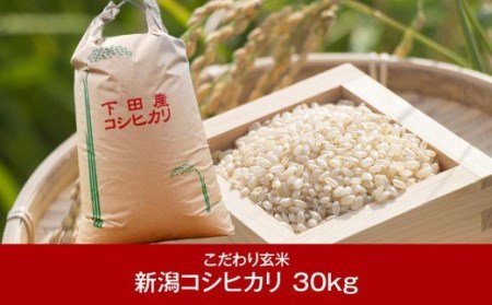 [新潟県産コシヒカリ] 新潟こしひかり玄米30kg 玄米 米 お米 