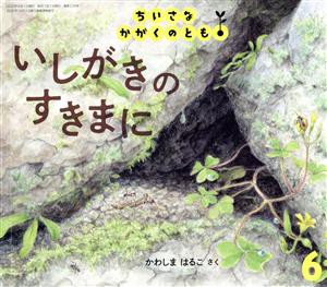  ちいさなかがくのとも(６　２０２０) いしがきのすきまに 月刊誌／福音館書店