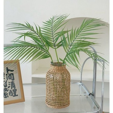 桃園店🥇日式草編玻璃花瓶配散尾葵文藝傢居室內綠植鮮花插花裝飾擺件客廳
