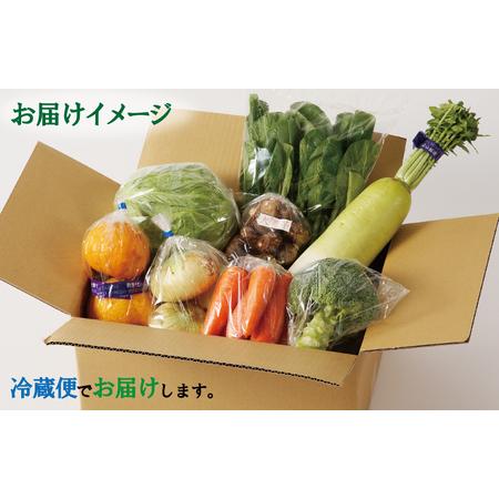 ふるさと納税 旬の野菜セット 詰め合わせ 7種類以上 国産 新鮮 お試し おまかせ お楽しみ 大阪府泉佐野市