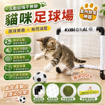 【足球互動】貓咪足球場 貓咪踢球組 互動自嗨貓玩具 貓草球 解悶減壓 發洩精力 貓咪遊戲組 室內放電神器