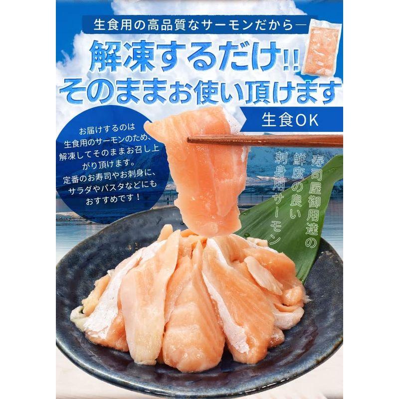 サーモン ハラス 切り落とし 刺身用 生サーモン１ｋｇ（５００ｇ×２パック）サイズ不揃い お値打ち品 トロ 生食 アトランティックサーモン