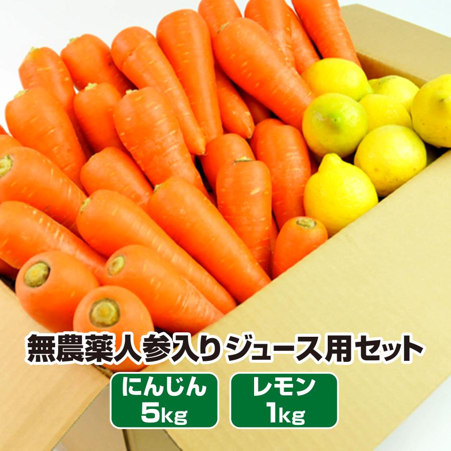 人参 無農薬にんじん 野菜セット 無農薬野菜 にんじんジュース ジュース用 5kg＋レモン1kg ゲルソン療法にも最適 訳あり