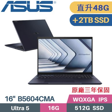 ASUS ExpertBook B5604CMA-0171A125H(Intel Core Ultra 5 125H/16G+32G/512G+2TB/W11PRO/16)特仕