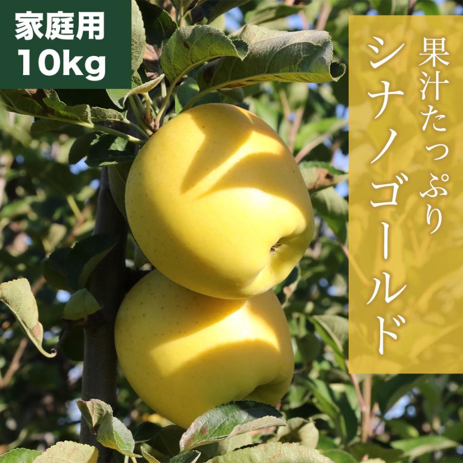 RED APPLE シナノゴールド 家庭用 約10kg りんご 林檎 果物 フルーツ ギフト 旬