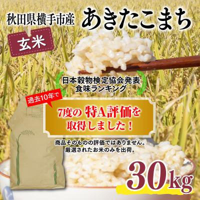 ふるさと納税 横手市 秋田県横手市産あきたこまち玄米　30kg×1