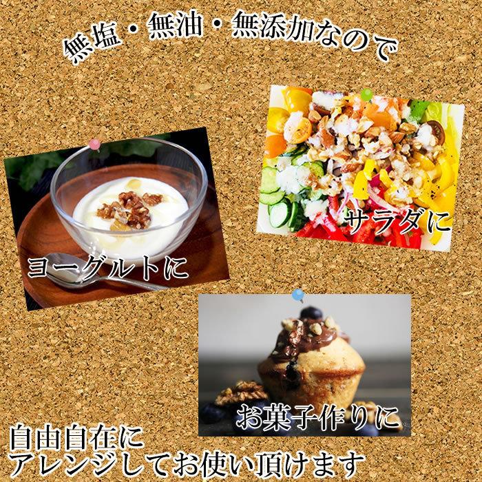 無添加 クルミ 100g 無塩 無油