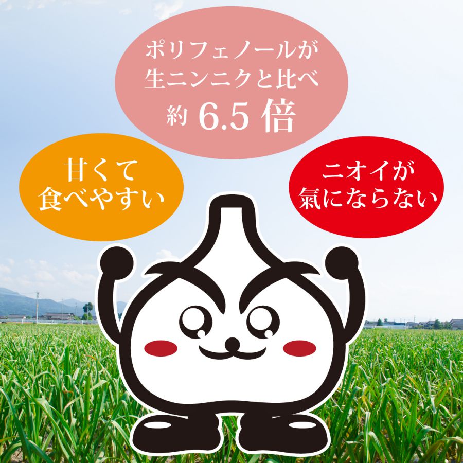 熟成黒にんにく500ｇ（250ｇ×2袋）