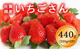 佐賀県産いちごさん440g（220g×2パック）KI0001