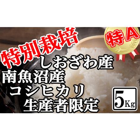 ふるさと納税 特別栽培 生産者限定 南魚沼しおざわ産コシヒカリ5Kg 新潟県南魚沼市