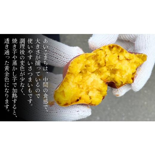 ふるさと納税 茨城県 桜川市 あいこまち 約10kg  渋谷農園 さつまいも  いも 芋 焼芋 [DT014sa]