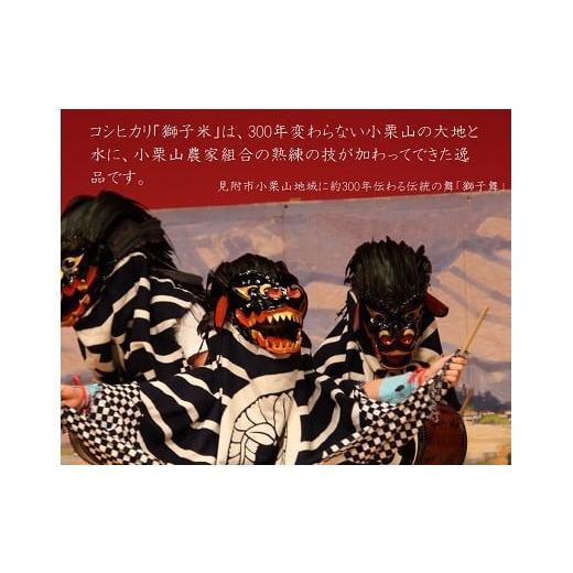 ふるさと納税 新潟県 見附市 令和5年産新潟産コシヒカリ（県認証特別栽培米）「甘うまミネラル米　獅子米」精米5kg