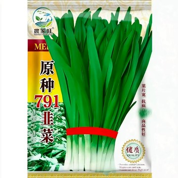 【原廠包裝】台灣現貨 白根韭菜種子（White Root Leek）2克裝  細葉韭菜/年菜種子 四季可種 陽台盆栽