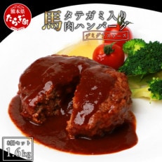 タテガミ入り馬肉ハンバーグ 計1.6kg(200g×8個)(多良木町)