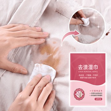 衣物去漬濕巾178小舖去漬 衣物去漬 去污濕紙巾 去污 去漬濕巾 衣服去漬 去漬濕紙巾 濕紙巾