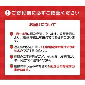 ふるさと納税 あまおう 約270g 4パック×3回 計12パック_Fi301_定期便 3回 いちご あまおう 約270g×4パック × 3.. 福岡県久留米市